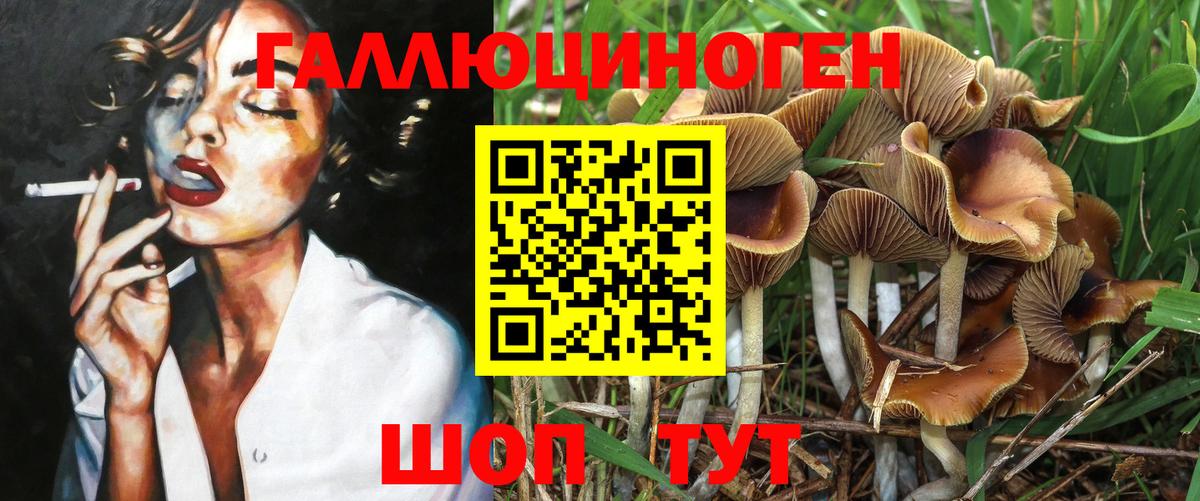Галлюциногенные грибы Cubensis  Вход с VPN  Коломна 